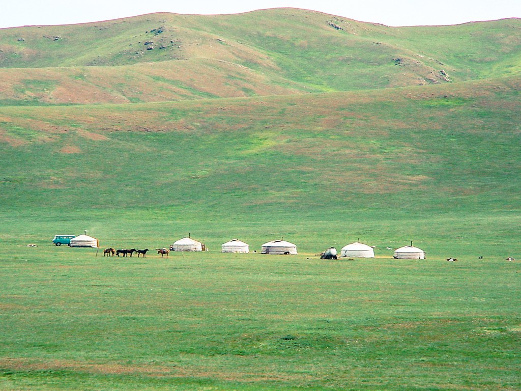 A scattered camp of gers with horses on the Mongolian steppe